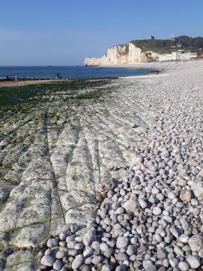 "L'Aiguille Creuse" - Tres Lumineux A 50M De La Mer - 40M2 - 6Max Etretat Ngoại thất bức ảnh