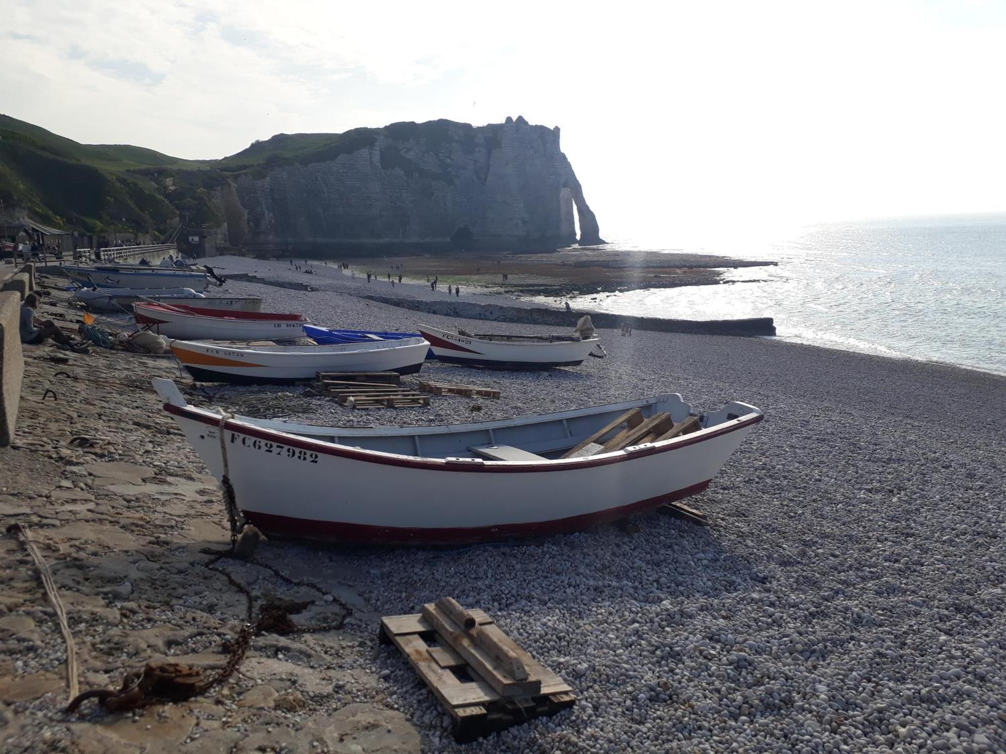 "L'Aiguille Creuse" - Tres Lumineux A 50M De La Mer - 40M2 - 6Max Etretat Ngoại thất bức ảnh